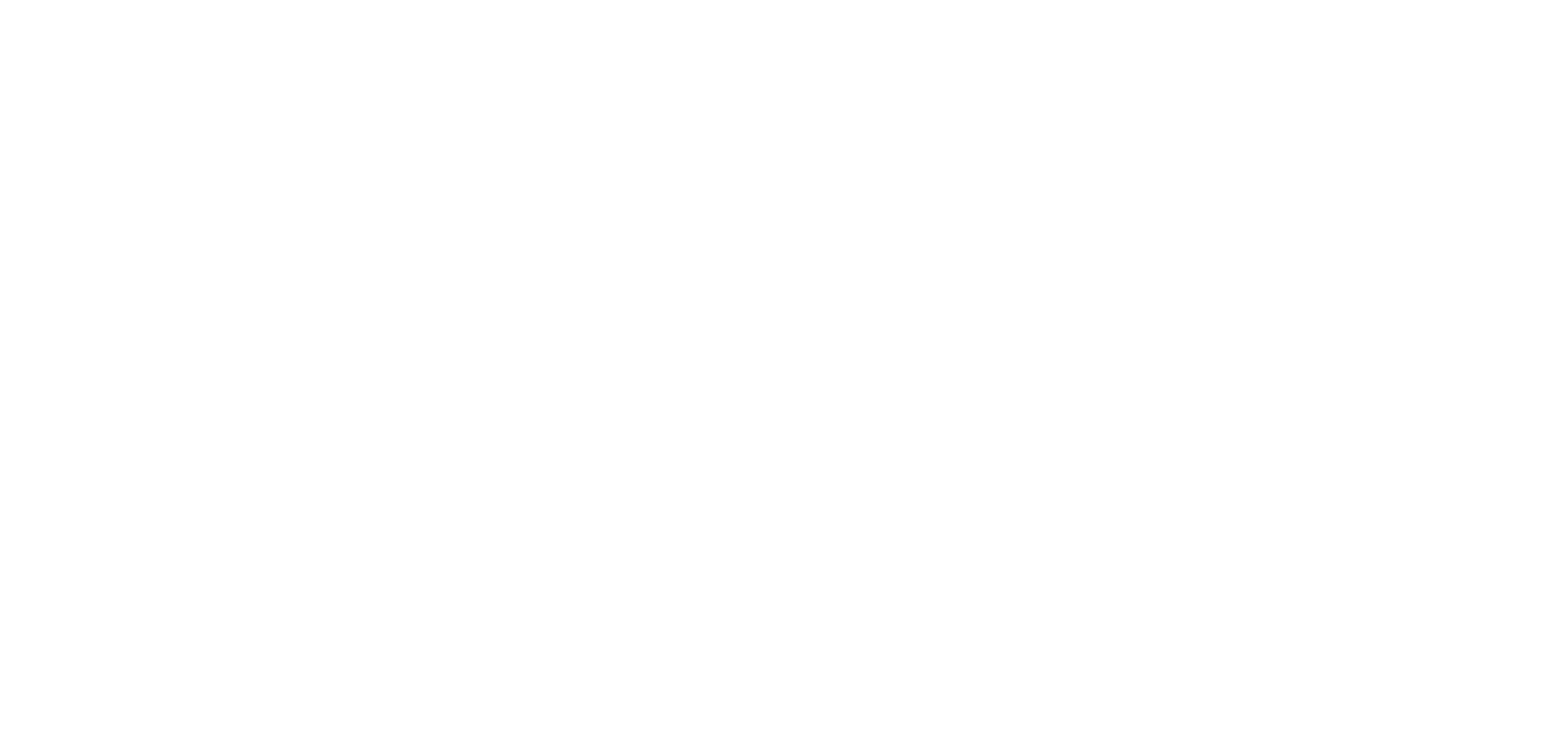 Dynamic Service Solutions